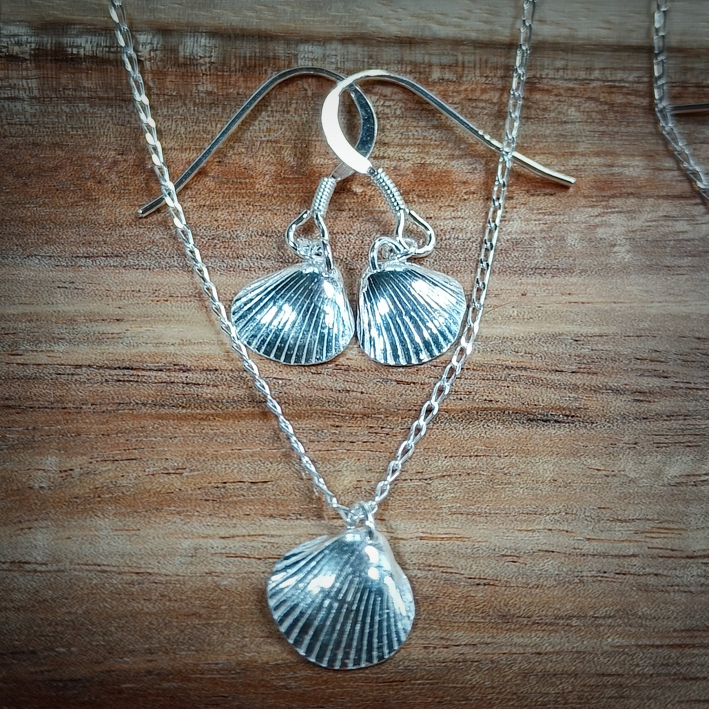 Small Silver Cockle earrings