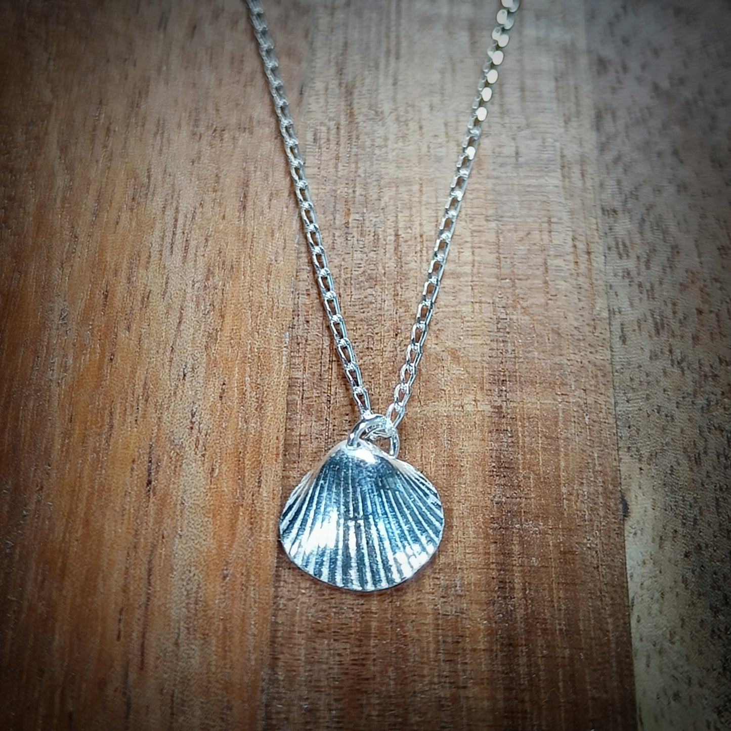 Small Silver Cockle necklace (18"/45cm chain)