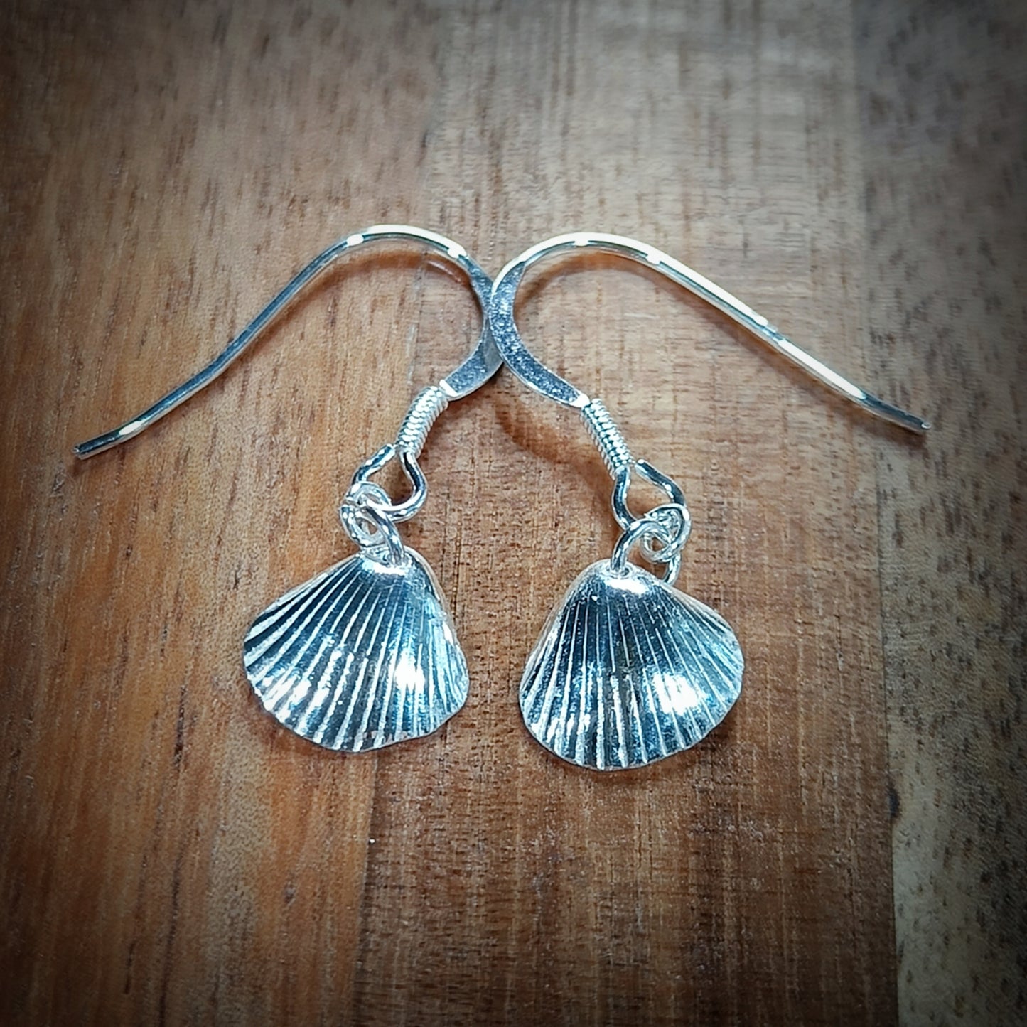 Small Silver Cockle earrings