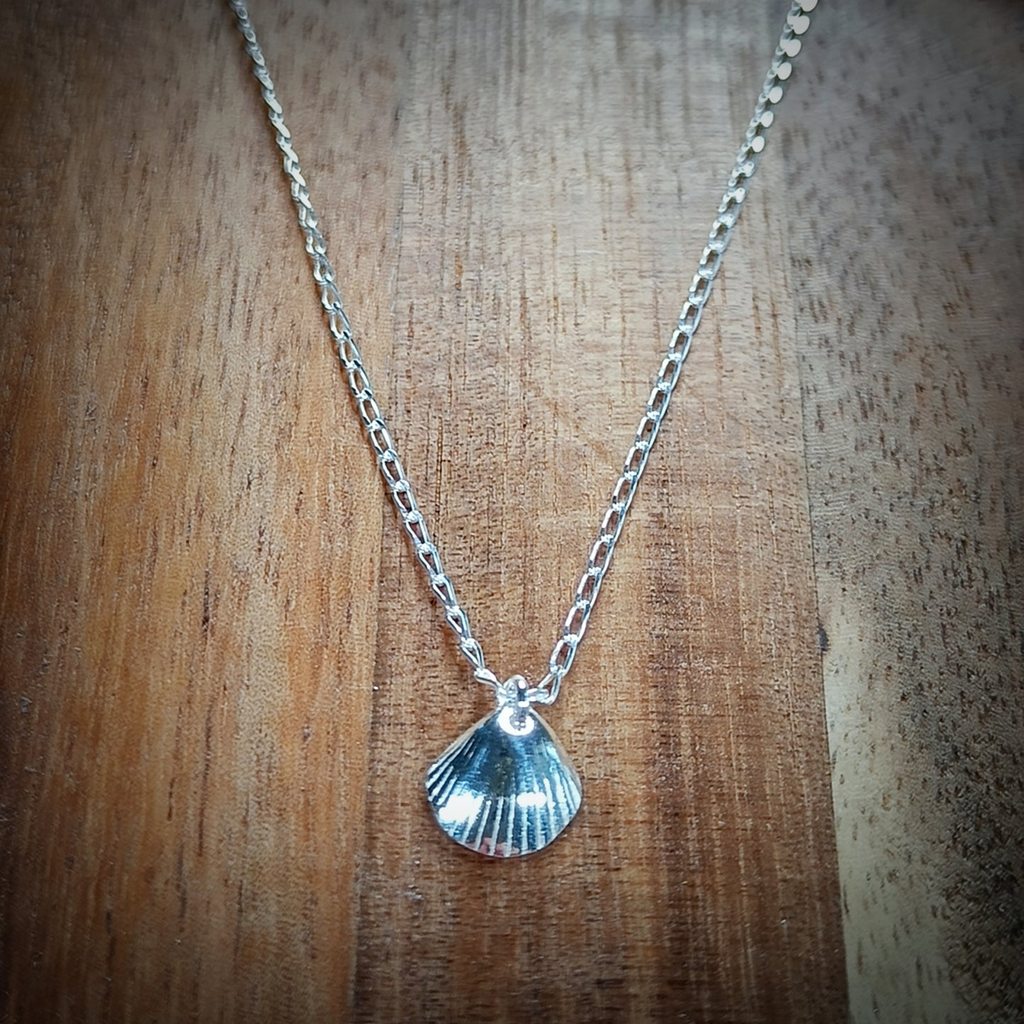 Tiny Silver Cockle necklace (16"/40cm chain)