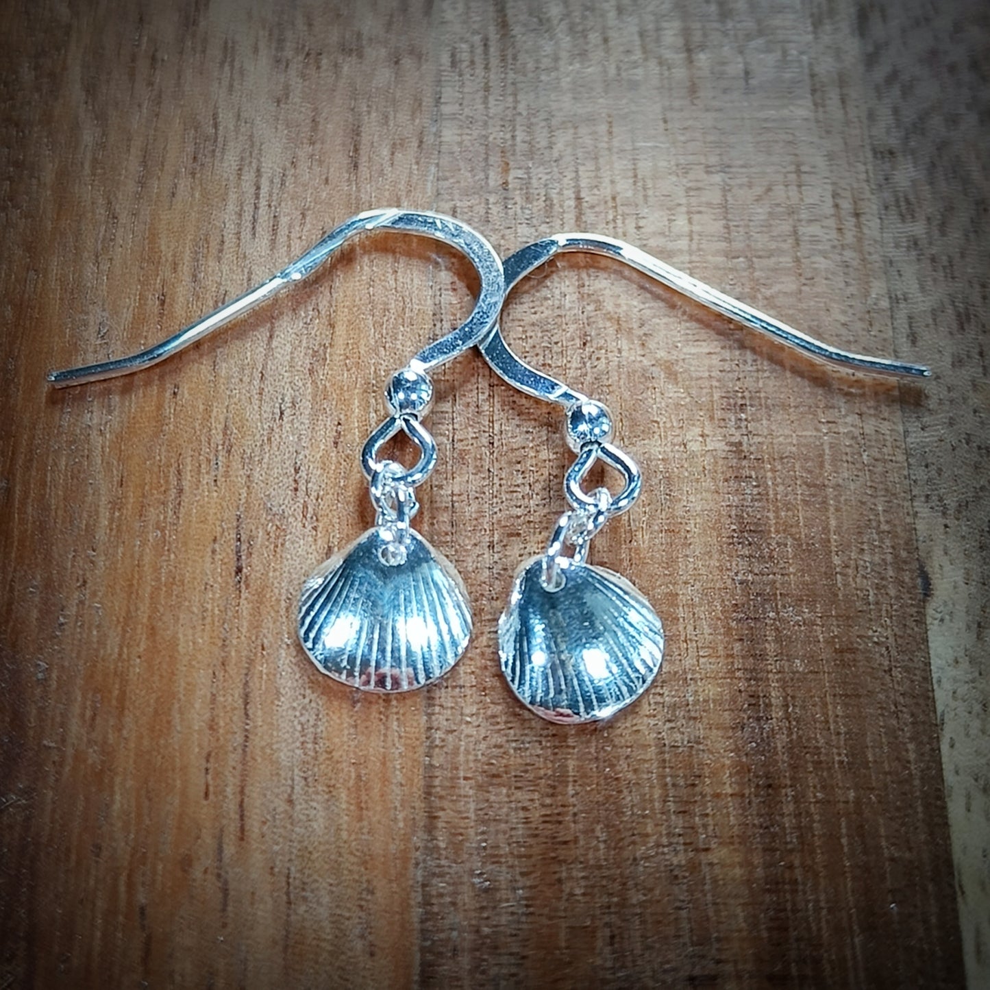 Tiny Silver Cockle earrings