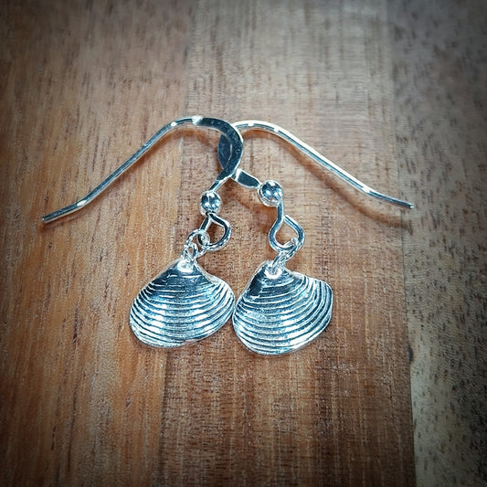 Small Silver Venus shell earrings