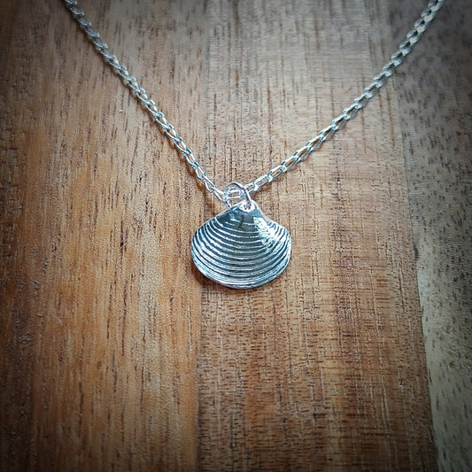 Small Silver Venus shell necklace, (16"/40cm chain)